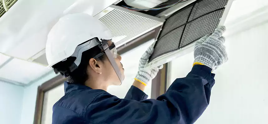 Our Mold & Mildew Removal from Air Ducts Services in Austin, TX