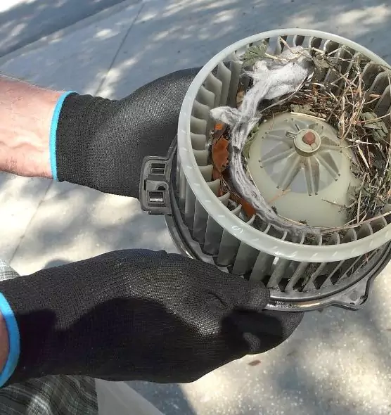 About Air Duct Rat Removal in Austin, TX