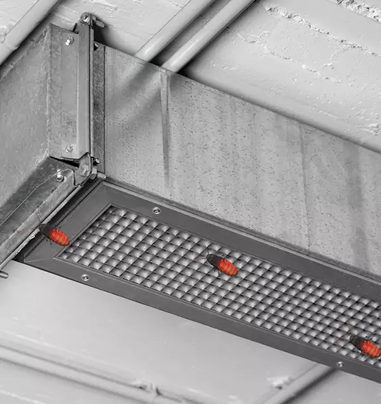 Affordable Insect Removal from Air Ducts in Austin, TX