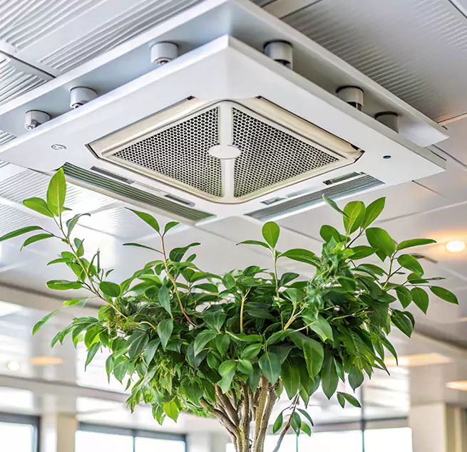 Why Homeowners & Businesses Trust Us in Austin, TX?