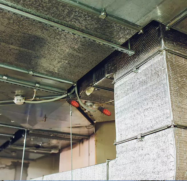 Why Homeowners & Businesses Trust Us Austin, TX?