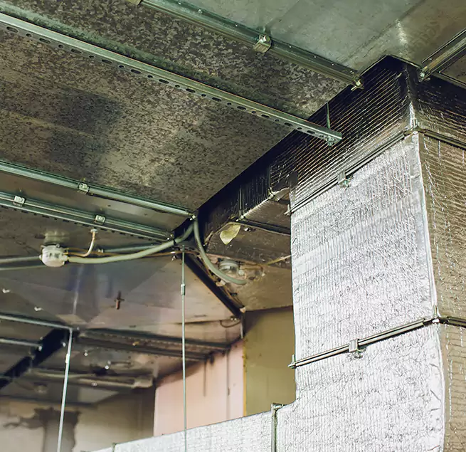 Why Homeowners & Businesses Trust Us in Austin, TX?